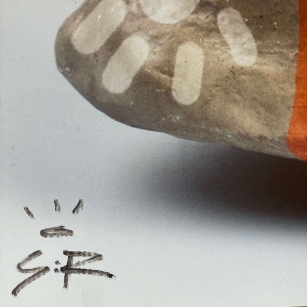 Fotodruck "Skull" – Bild 4